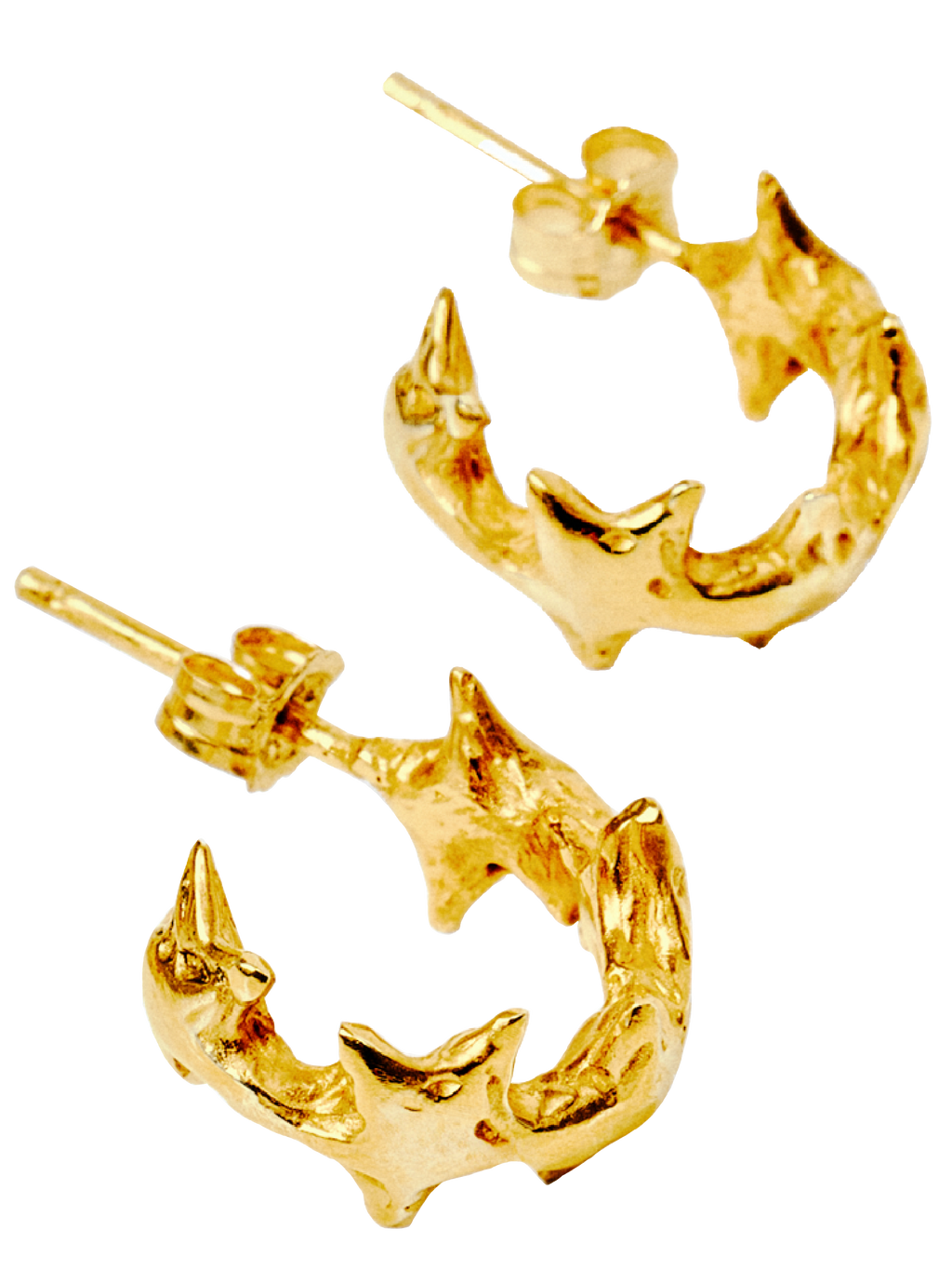 Stellar Crown